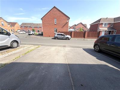 Picture 23